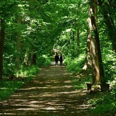 De La Scierie Σπίτι διακοπών Saint-Gâtien-des-Bois