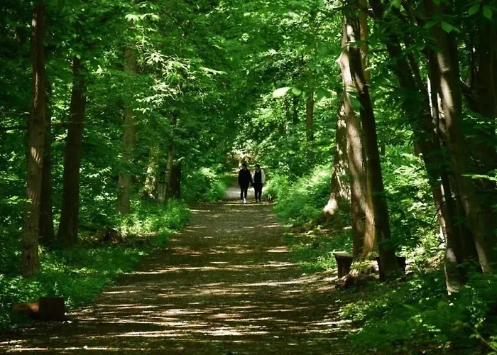 De La Scierie Dom wakacyjny Saint-Gâtien-des-Bois